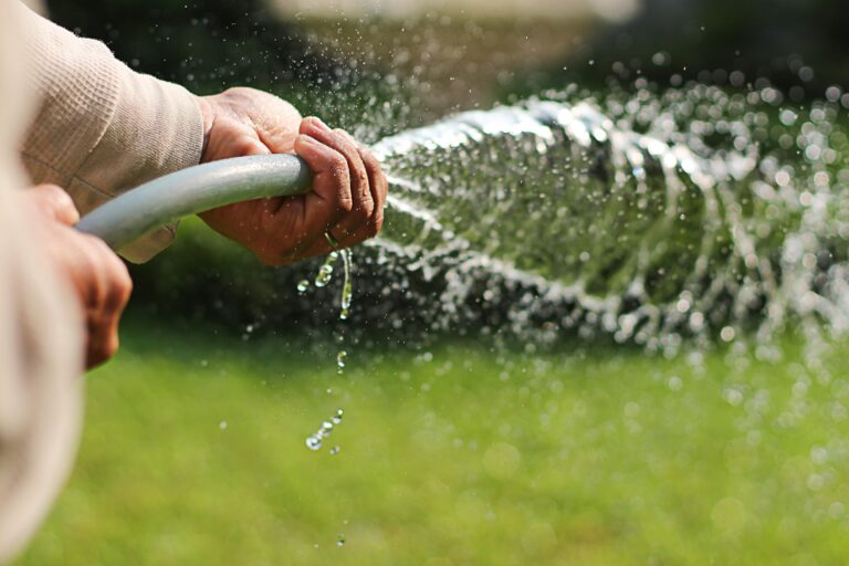 Person watering grass with a hose, highlighting essential summer lawn care to keep turf hydrated during hot, dry weather.