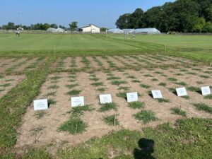 Lawn Care Tips from Turf and Landscape Field Day at Purdue University