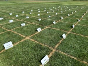 Lawn Care Tips from Turf and Landscape Field Day at Purdue University