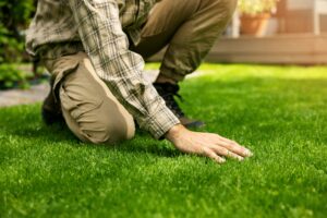 Man kneeling and inspecting healthy green grass during lawn care and maintenance in a backyard.